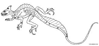 You can search several different ways, depending on what information you have available to enter in the site's search bar. Printable Lizard Coloring Pages For Kids