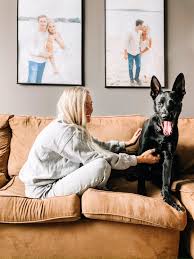 Indoor potty training is not very different from training your dog to potty outside. How To Live With A Big Dog In A Small Apartment Delaney Lane