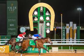 Sport in saudi arabia is an important part of saudi arabian culture and the country participates in many international sporting competitions. Ksa Sports About Her