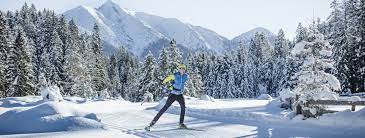 Just bought a skate ski package! Cross Country Skiing Trails Maps Elevation Profiles Gps Outdooractive Com