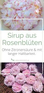 Rosensirup Rezept Rosensirup Sirup Rezepte Rosen Sirup