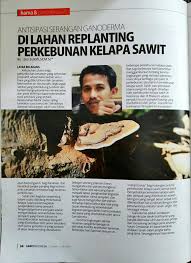 Hal ini tidak terlepas dari potensi produksi dan harga pemupukan kelapa sawit merupakan kegiatan perawatan budidaya kelapa sawit yang bertujuan untuk memberikan makanan pada tanaman sawit. Ganoderma Kelapa Sawit Posts Facebook