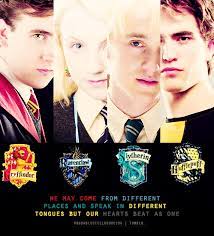 Harry Potter Neville Longbottom Luna Lovegood Draco Malfoy Cedric Diggory Harry Potter Fandom Harry Potter Love Harry Potter Fantastic Beasts