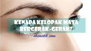 Mata berkedip sebelah kiri bawah,mata kanan bawah bergerak tandanya,kelopak mata kanan bergerak dalam islam,bawah mata kanan berdenyut menurut islam. Kelopak Mata Kiri Bergerak Apakah Punca Tandanya Ohcantik Com