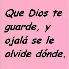 Me temo que los más de 2.500 iconos que incluyen los anteriores paquetes de stickers. 50 Imagenes Chistosas Para Perfiles Whatsapp Originales Y Graciosas Imagenes Para Whatsapp Frases Y Perfil Fotos Para Mostrar