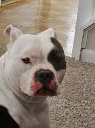 Dealing with Neighbors who Steal Patio Furniture in Wheeling, WV