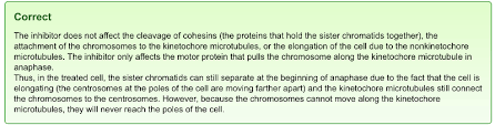 Mastering Biology Chapter 12 Mitosis Flashcards Easy Notecards