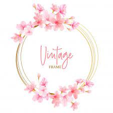 Cherry Blossom Background Frame With Hand Drawn Flowers Cherry Blossom Background Hand Drawn Flowers Cherry Blossom Watercolor