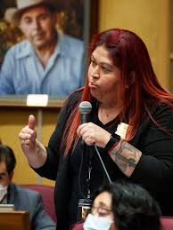 Sen. Anna Hernandez to leave Legislature, run for Phoenix ...