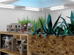 Bildergebnis für Nils Norman