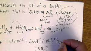 Will Nh4cl Form A Basic Solution Computer Hardware