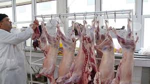 We did not find results for: Cat Ar Putea Costa Carnea De Miel De Paste PreÈul Va CreÈte Zilele UrmÄtoare