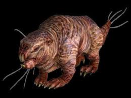 Somewhat Realistic Creature Behaviour Srcb At Fallout3 Nexus Mods And Community