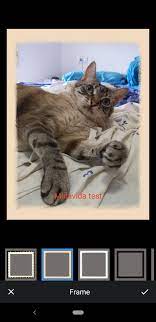 Puede descargar z camera vip 4.54 (full) apk photography para android 2021 mod apk y también z camera vip 4.54 (full) apk photography para android 2021 apk versión completa desde aquí. Camara Z 4 51 Descargar Para Android Apk Gratis