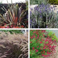 Discover 9 clever ways to work less and get more these design ideas can help you create a low maintenance easy garden. Home Dzine Garden Ideas Design A Low Maintenance Garden