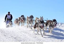 Donovaly Slovakia February 12 Komac Manfred Stock Photo 71059666