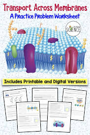 Cell Transport Practice Problem Worksheet Printable And Digital Versions Cell Transport Biology Classroom Osmosis