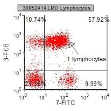 Introduction To Flow Cytometric Analysis Flow Cytometry