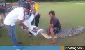 Dadang buaya is on facebook. Mengenal Dadang Empat Kali Taklukkan Buaya Bermodal Alat Pancing Bontangpost Id