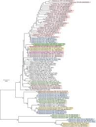 S'il nous manque une distinction concernant ce lieu de travail ou ce secteur, merci de nous en informer. Surveying Of Acid Tolerant Thermophilic Lignocellulolytic Fungi In Vietnam Reveals Surprisingly High Genetic Diversity Scientific Reports