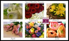 What is the flower of the month for january? Send Monthly Flowers Cedar Grove Gardens