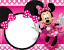 Minnie Mouse Decorations Pink And Gold