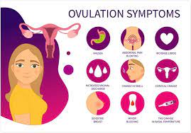 This time the symptoms were even more i knew my temperature always rose the morning that i was ovulating. Ovulation Signs