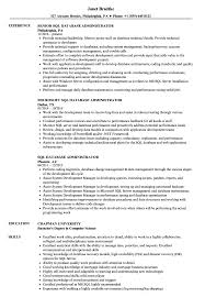 Sql Database Administrator Resume Samples Velvet Jobs