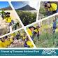 NORTH TOMAREE BUSHCARE — Friends of Tomaree NP event image
