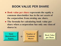 Corporations Organization And Share Capital Transactions Chapter Ppt Download