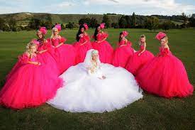 Pin On Wedding Dresses Bridesmaid Dresses