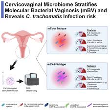 Image result for Chlamydia Trachomatis