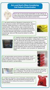 Maybe you would like to learn more about one of these? Do S And Dont S Of Cell Culture Animal Transparent Png 3244x5684 Free Download On Nicepng