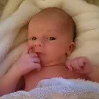 Alex Mcauley Email & Phone Number