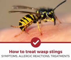 We did not find results for: How To Treat Wasp Stings Symptoms And Remedies Pest Strategies