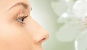 1 appearance 2 story 3. Verschonerung Der Nase Ohne Operation Injektionsrhinoplastik In Munchen Dr Juliane Habig