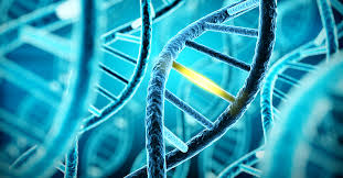 Most inherited cases of breast cancer are associated with mutations in two genes: What Does A Brca Gene Mutation Mean For Men Ctca