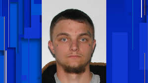 Nelson County man wanted for assaulting victim, police say