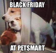 Afternoon Funny Pictures 47 Pics Black Friday Funny Funny Dogs Friday Humor