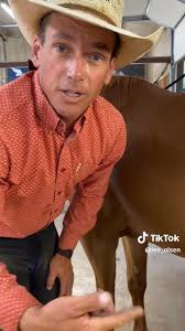 Take it from an outstanding journeyman in the trade! Olsen Equine CJF