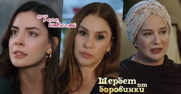 Telenovellas - Утре в "Шербет от боровинки": Окончателна раздяла; Кавълджъм гони от дома си; Асуде съветва Асил да привлече (4 юни) https://tvnovellas.blogspot.com/2026/06/4_01412430586.html | Facebook