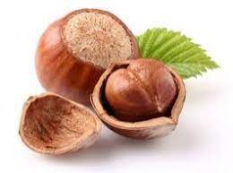 The hazelnut is the fruit of the hazel and therefore includes any of the nuts deriving from species of the genus corylus, especially the nuts of the species corylus avellana. Growing Hazelnuts With Haifa Fertilizers Haifa Group