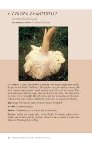 Edible and Medicinal Flora of the West Coast by Collin Varner