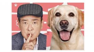 Lee Soon-Jae dan Anjing Kesayangan Menjadi Tim Sempurna Dalam Drama  Mendatang 'Dog Knows Everything'