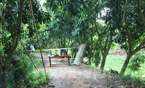 Big savings on hotels in an giang, vn. E Ljdocpiya 8m