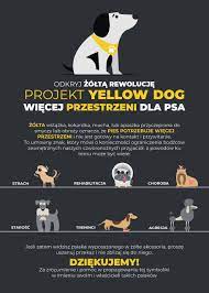 Żółty element u psa jest ważną informacją, znakiem stosowanym na całym świecie. Zolta Wstazka I Yellow Dog Projekt Czyli O Tym Dlaczego Zolta Kokardka To Nie Natchniona Sloncem Nowa Psia Moda
