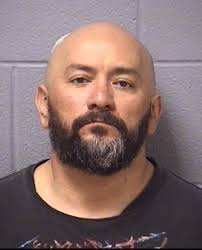 Will County Jail Blotter Weekend Edition