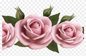 Large collections of hd transparent pink flower png images for free download. Beautiful Transparent Pink Roses Png Picture Gallery Flowers On A Paper Background Free Transparent Png Clipart Images Download