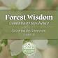 Forest Wisdom: Restoring the Connection event image