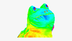 Top Illuminati Mlg Meme Images For Pinterest Tattoos Rainbow Frog Png 500x430 Png Download Pngkit Search, discover and share your favorite mlg png gifs. top illuminati mlg meme images for